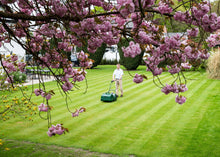 Load image into Gallery viewer, Allett Liberty 43 Battery Powered Quick Change Cartridge Reel Mower with 6 Blade Cutting Cylinder