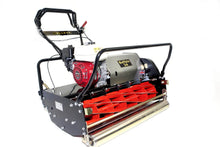 Load image into Gallery viewer, Allett Buffalo Gas Powered Reel Cylinder Mower with Honda Engine
